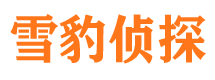 桥西市侦探公司